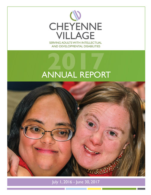 2017-cv-annual-report-web